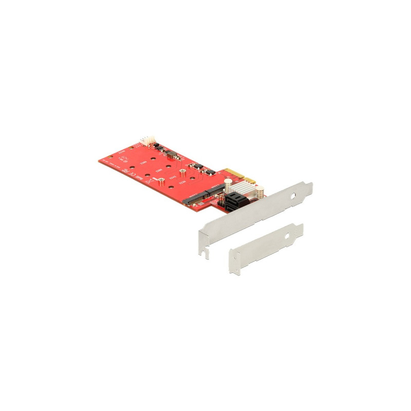 DeLOCK PCIe 2x M.2 NGFF + 2x SATA Raid, Controller
