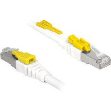 DeLOCK RJ45 Secure Cat. 6A, Kabel(weiß, 1 Meter, verriegelbar, LSOH Halogenfrei)