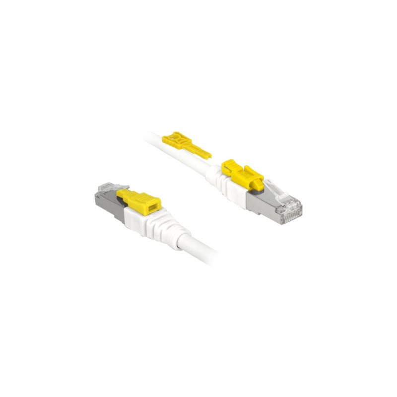 DeLOCK RJ45 Secure Cat. 6A, Kabel(weiß, 1 Meter, verriegelbar, LSOH Halogenfrei)