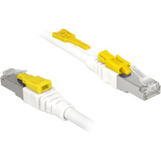 DeLOCK RJ45 Secure Cat. 6A, Kabel(weiß, 3 Meter, verriegelbar, LSOH Halogenfrei)