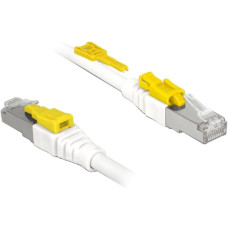 DeLOCK RJ45 Secure Cat. 6A, Kabel(weiß, 5 Meter, verriegelbar, LSOH Halogenfrei)