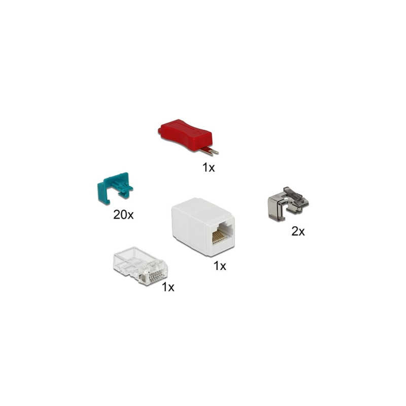DeLOCK RJ45 Secure Clip Starter Set, Halterung(türkis, 20 Stück)