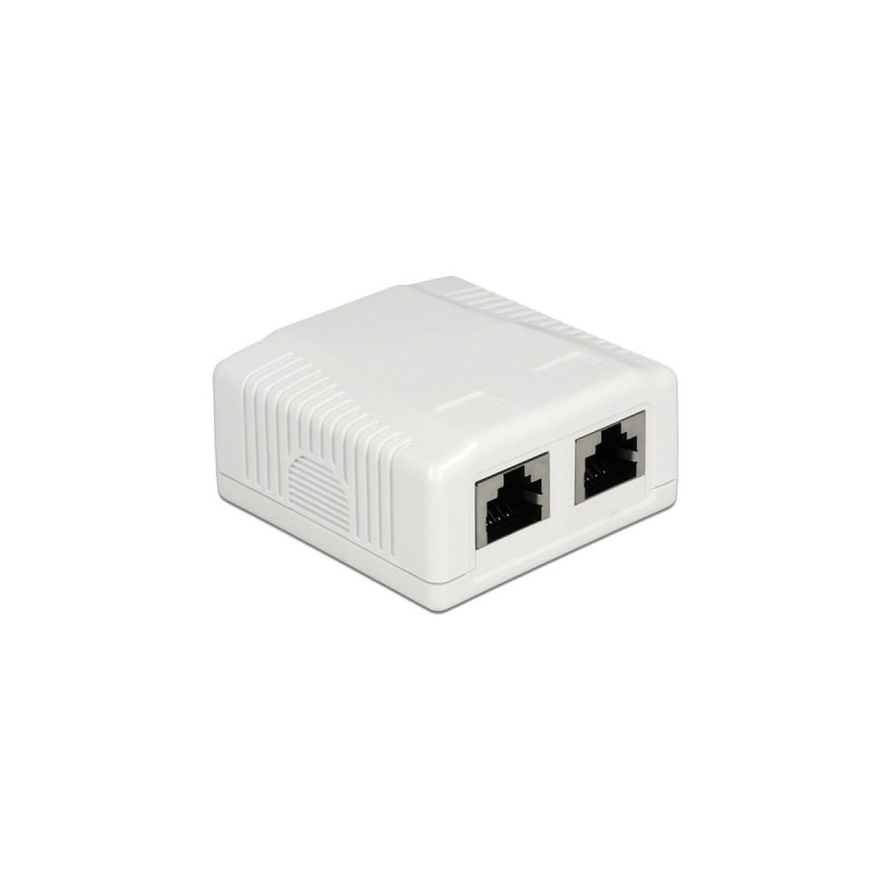 DeLOCK RJ-45 Anschlussdose 2 Port Cat.6a LSA(weiß)