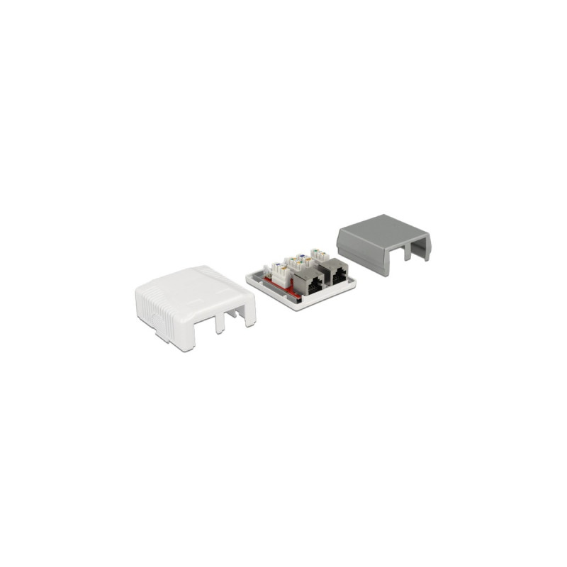 DeLOCK RJ-45 Anschlussdose 2 Port Cat.6a LSA(weiß)