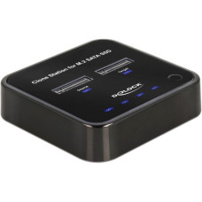 DeLOCK USB 3.0 Docking- und Klonstation M.2 SATA, Dockingstation(schwarz, M.2 SATA SSD)