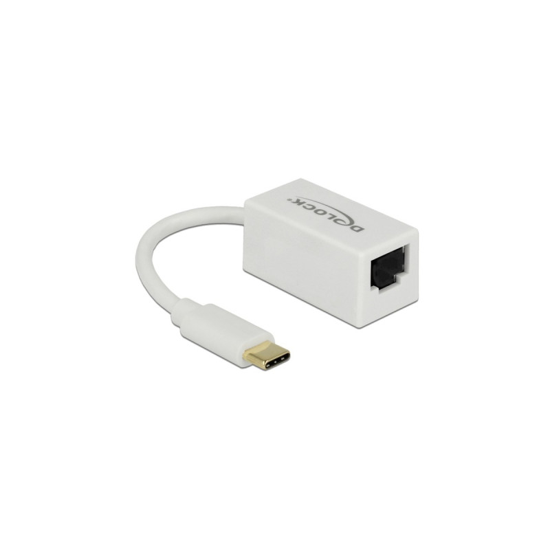 RJ-45 Buchse(weiß, 13,5 cm, Gigabit LAN 10/100/1.000 Mbit/s)