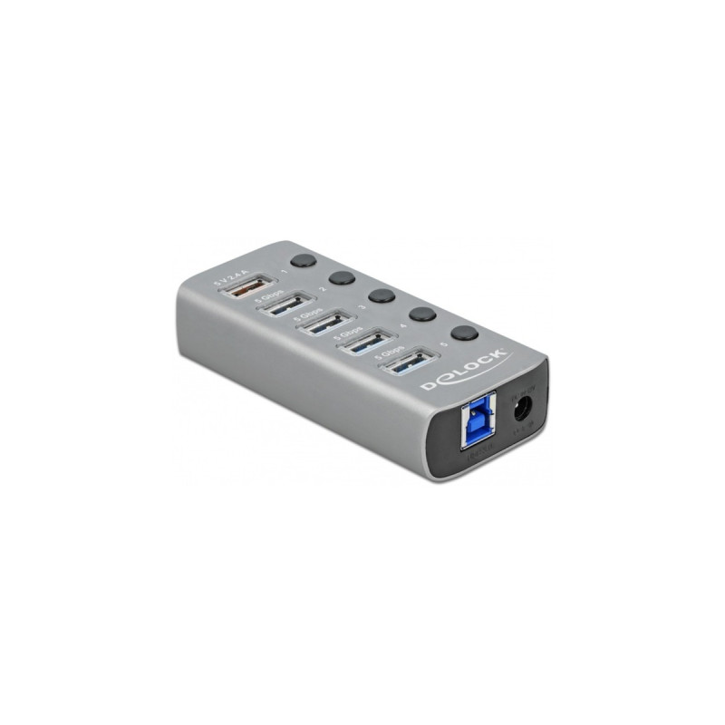 DeLOCK USB 3.2 Gen 1 Hub mit 4 Ports + 1 Schnellladeport, USB-Hub(grau, mit Schalter und Beleuchtung)