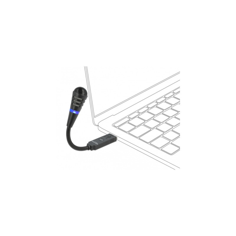 DeLOCK USB Schwanenhals Mikrofon(schwarz)