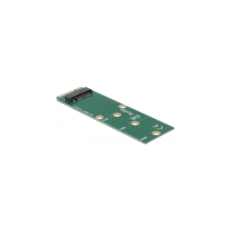 DeLOCK mSATA zu M.2 Key B Slot, Adapter