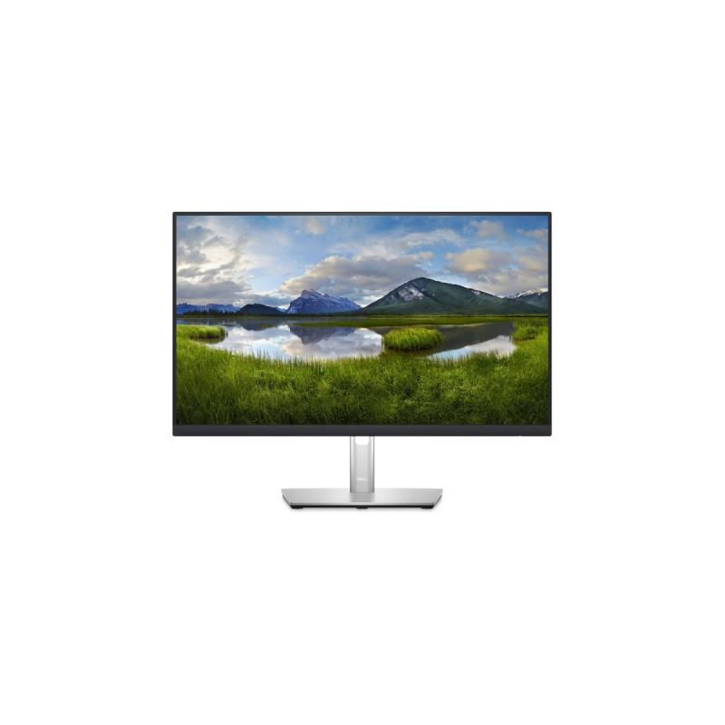 Dell P2423D, LED-Monitor(61 cm (24 Zoll), silber/schwarz, QHD, 60 Hz, HDMI, DisplayPort)