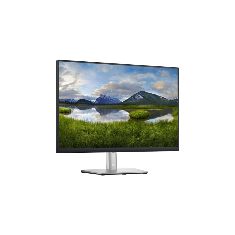 Dell P2423, LED-Monitor(61 cm (24 Zoll), silber/schwarz, WUXGA, IPS, 60 Hz, HDMI)