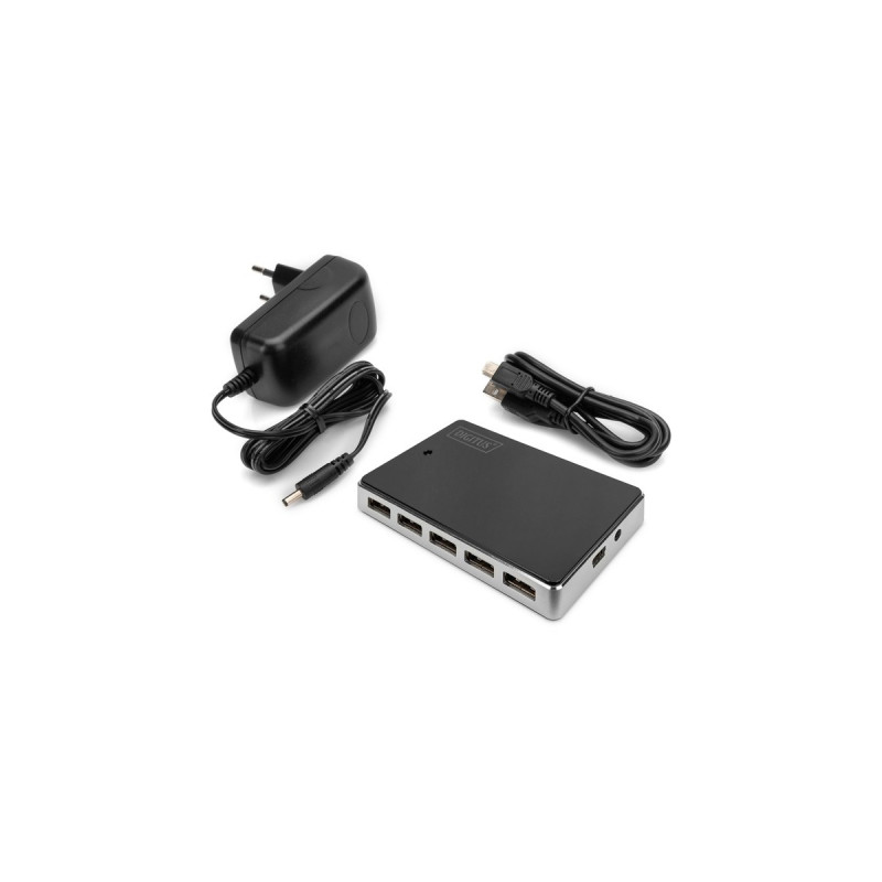 Digitus 10-Port USB 2.0 Hub, USB-Hub(schwarz/silber, aktiv)