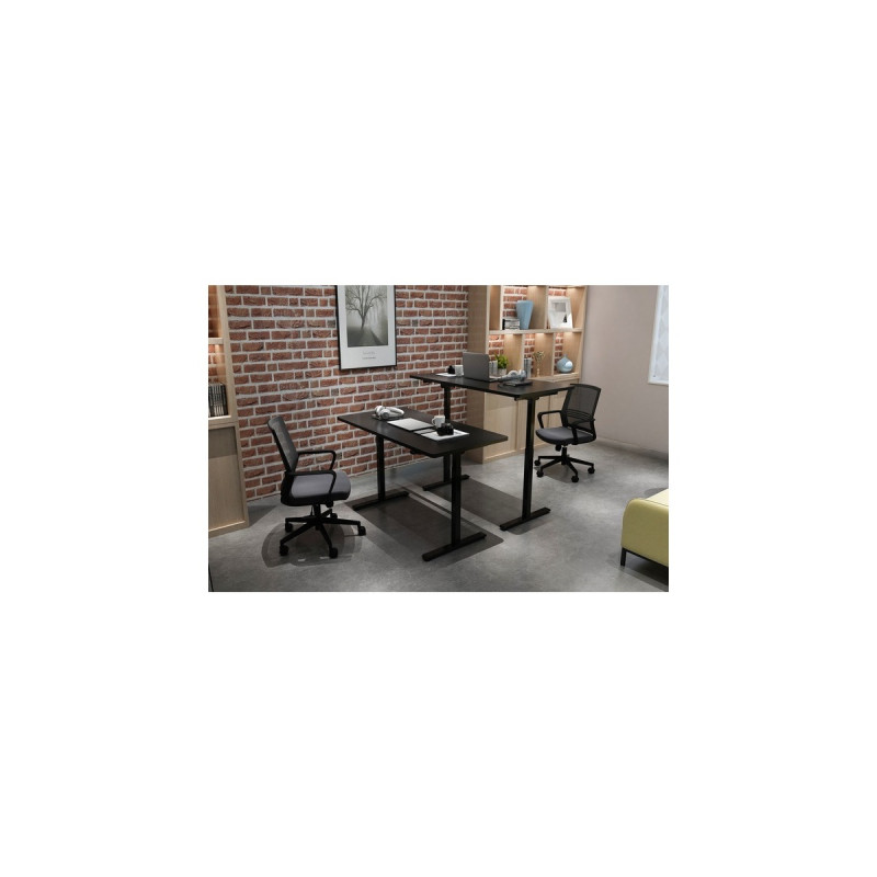 Digitus Elektrisch höhenverstellbares Tischgestell, Single-Motor, 2-Stufen DA-90430, Untergestell(schwarz)