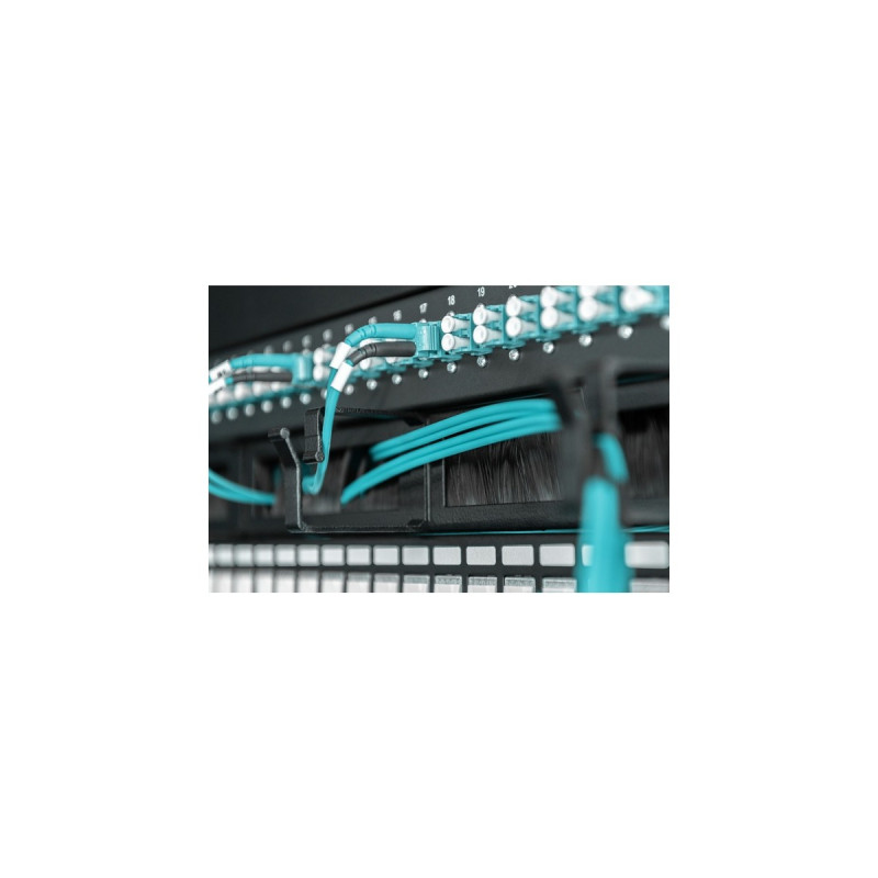 Digitus Kabelrangierpanel mit Bürstenleisten für 483 mm (19