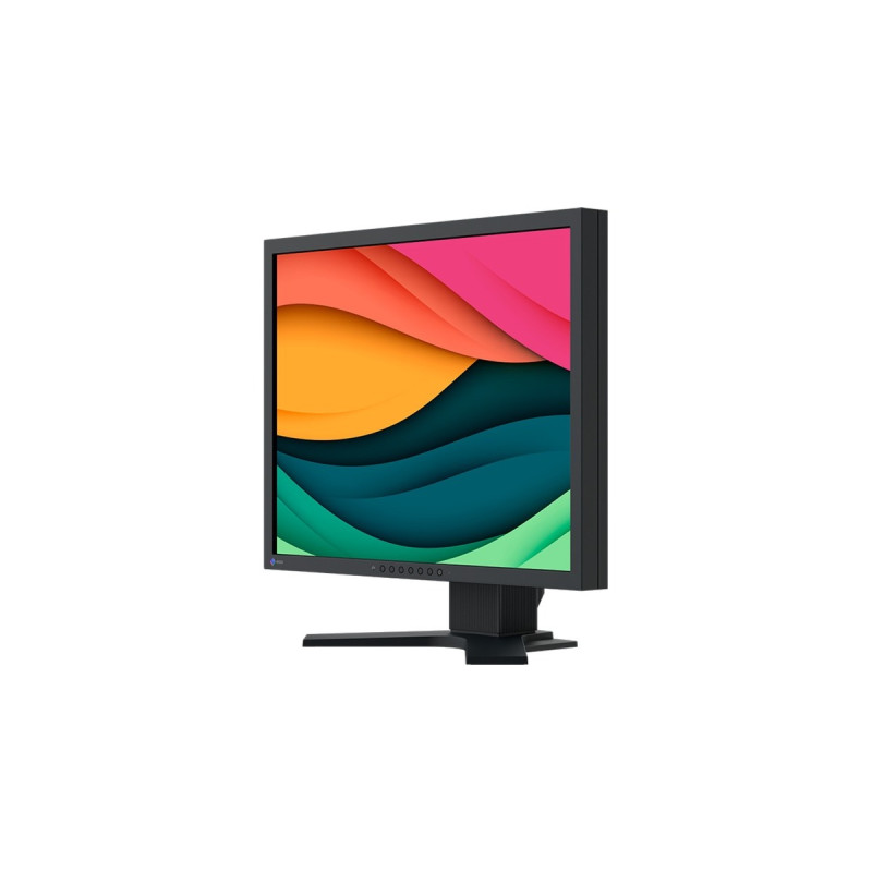 EIZO FlexScan S2134, LED-Monitor(54 cm (21.3 Zoll), schwarz, UXGA, IPS, DisplayPort, DVI-D, VGA)