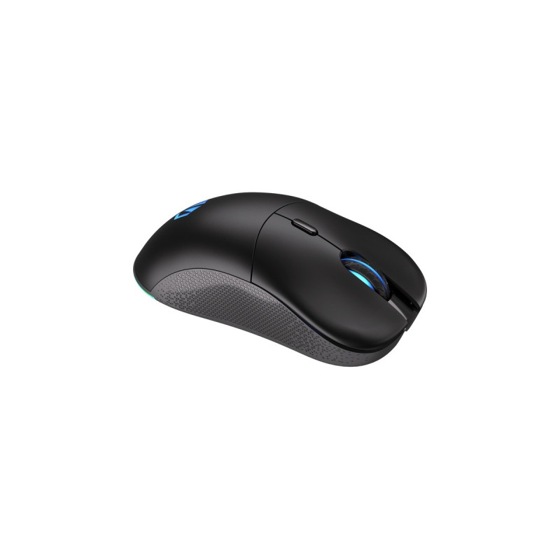 ENDORFY Gem Plus Wireless, Gaming-Maus(schwarz)