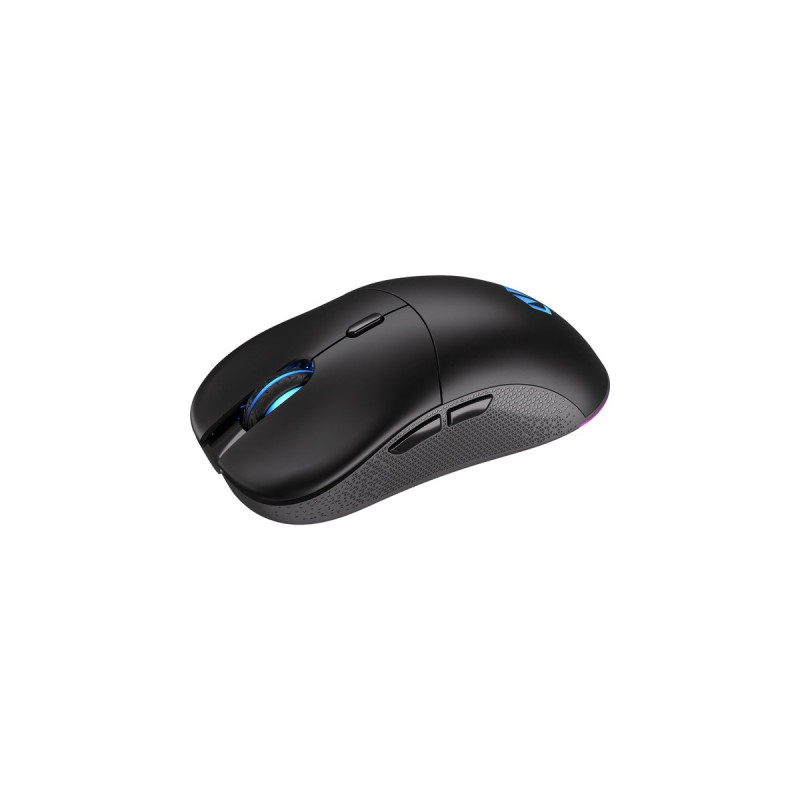 ENDORFY Gem Plus Wireless, Gaming-Maus(schwarz)