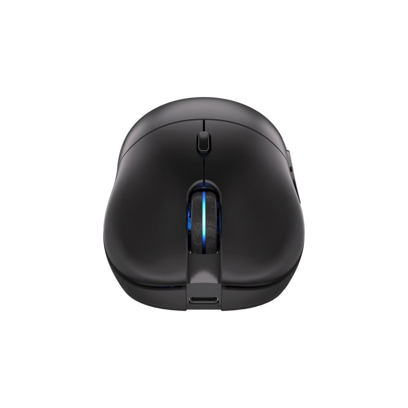 ENDORFY Gem Plus Wireless, Gaming-Maus(schwarz)