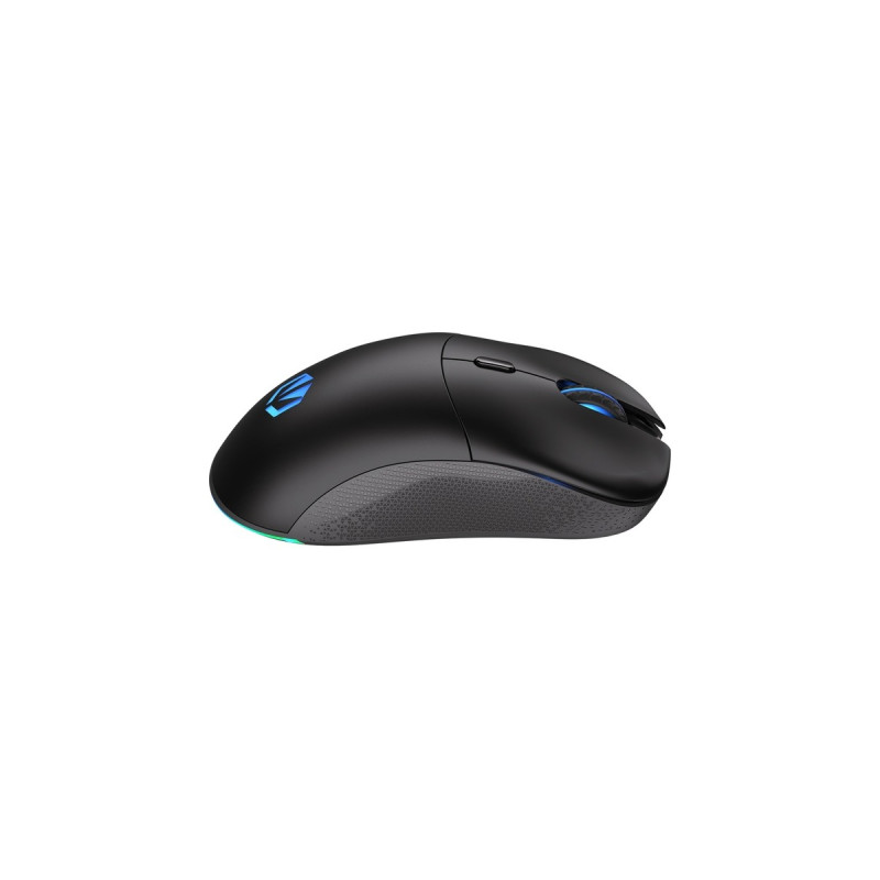 ENDORFY Gem Plus Wireless, Gaming-Maus(schwarz)