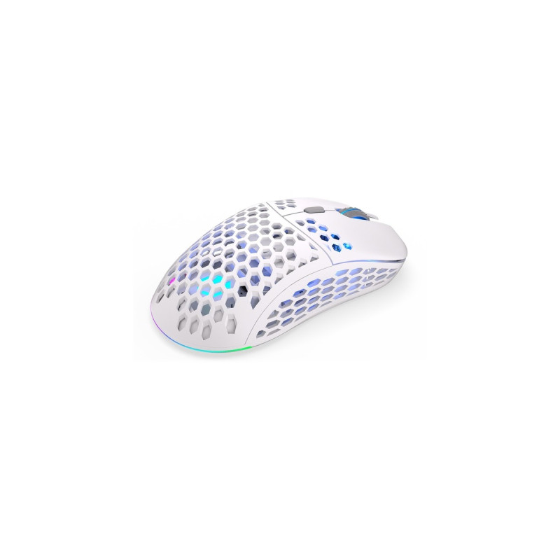 ENDORFY LIX Onyx White Wireless, Gaming-Maus(weiß/grau)