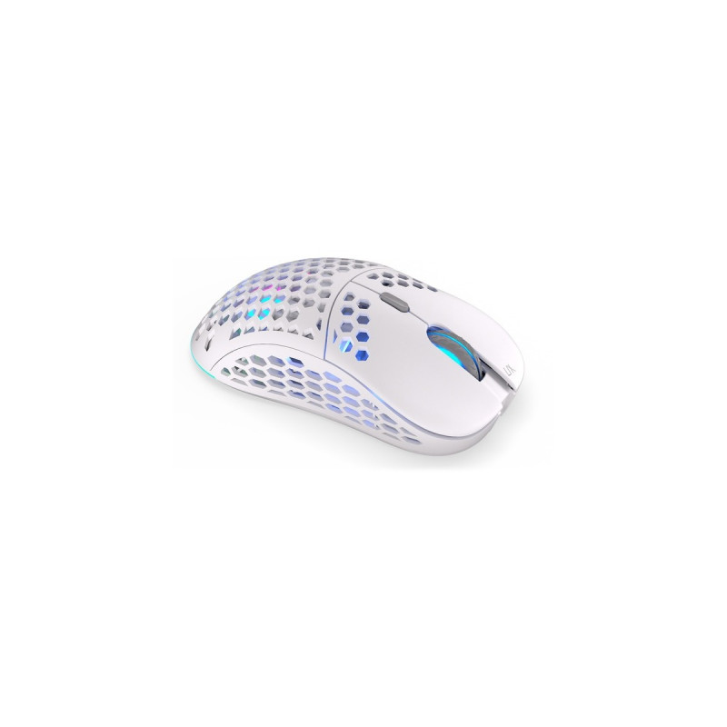 ENDORFY LIX Onyx White Wireless, Gaming-Maus(weiß/grau)