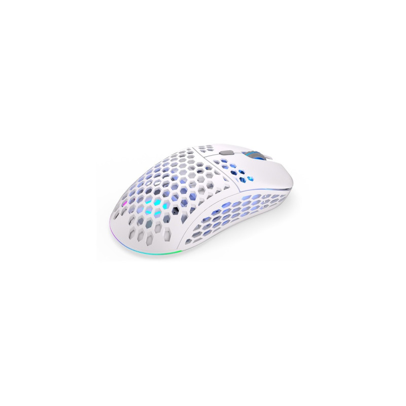 ENDORFY LIX Plus Onyx White Wireless, Gaming-Maus(weiß/grau)