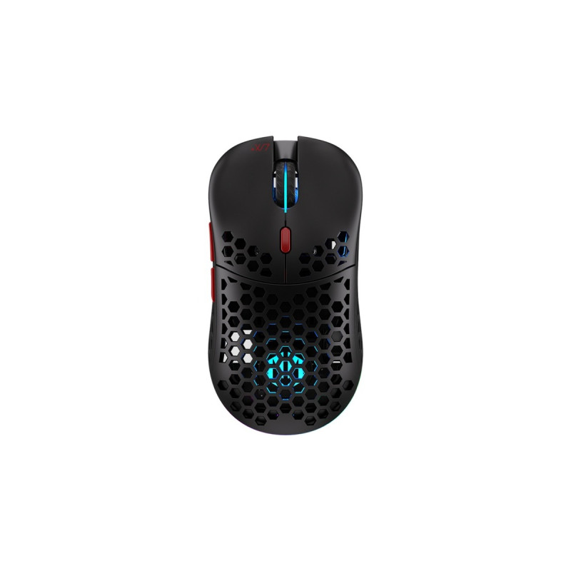 ENDORFY LIX Plus Wireless, Gaming-Maus(schwarz)