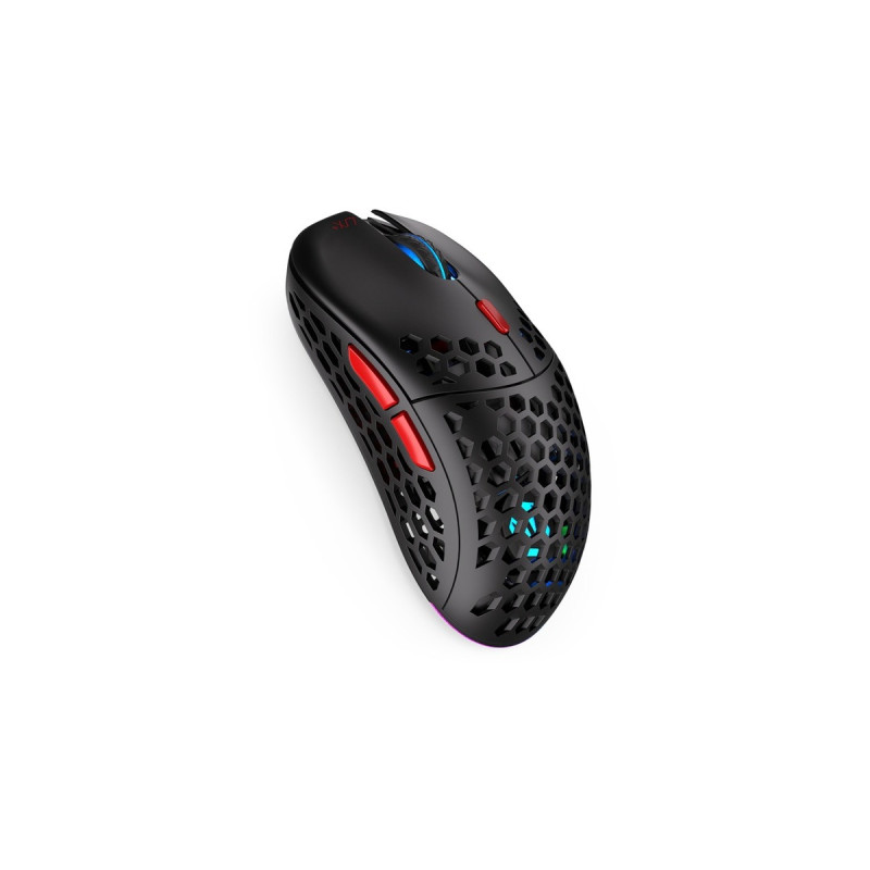 ENDORFY LIX Plus Wireless, Gaming-Maus(schwarz)