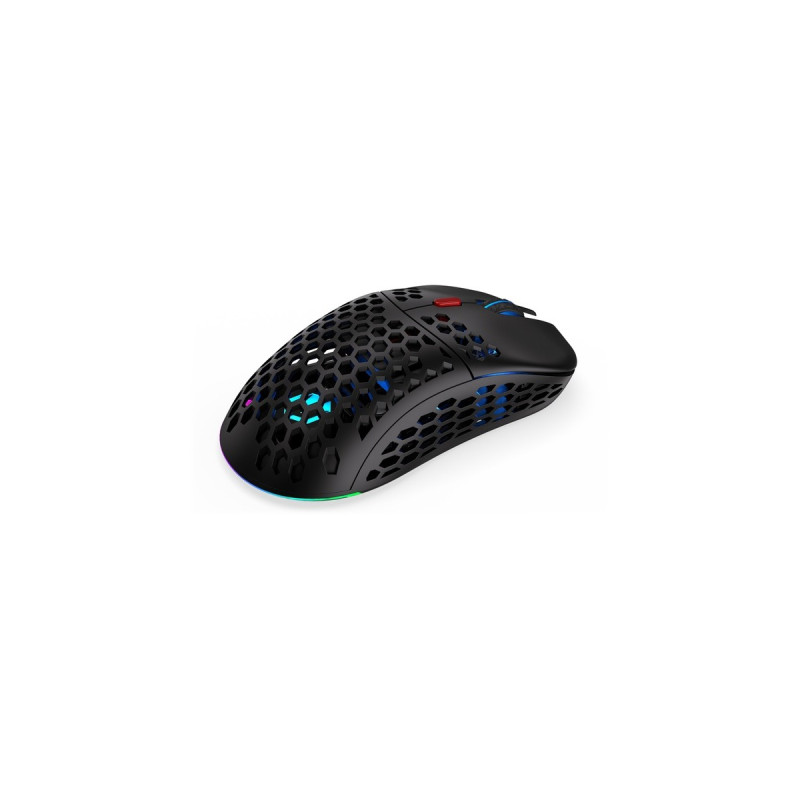 ENDORFY LIX Plus Wireless, Gaming-Maus(schwarz)
