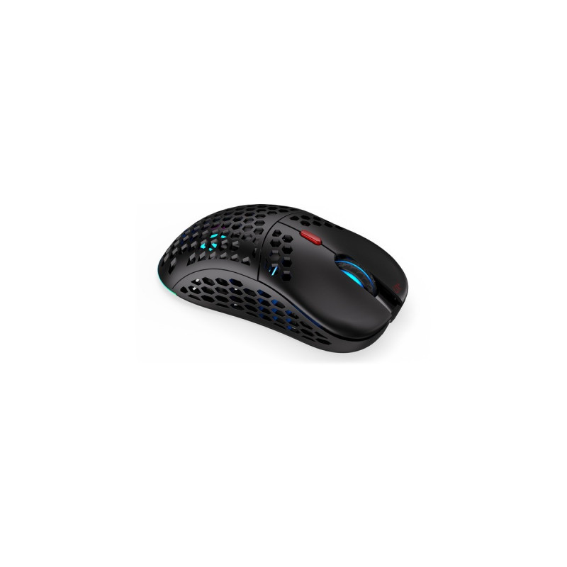 ENDORFY LIX Plus Wireless, Gaming-Maus(schwarz)