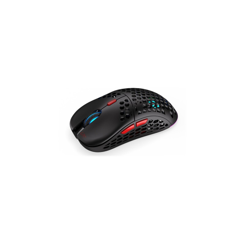 ENDORFY LIX Plus Wireless, Gaming-Maus(schwarz)