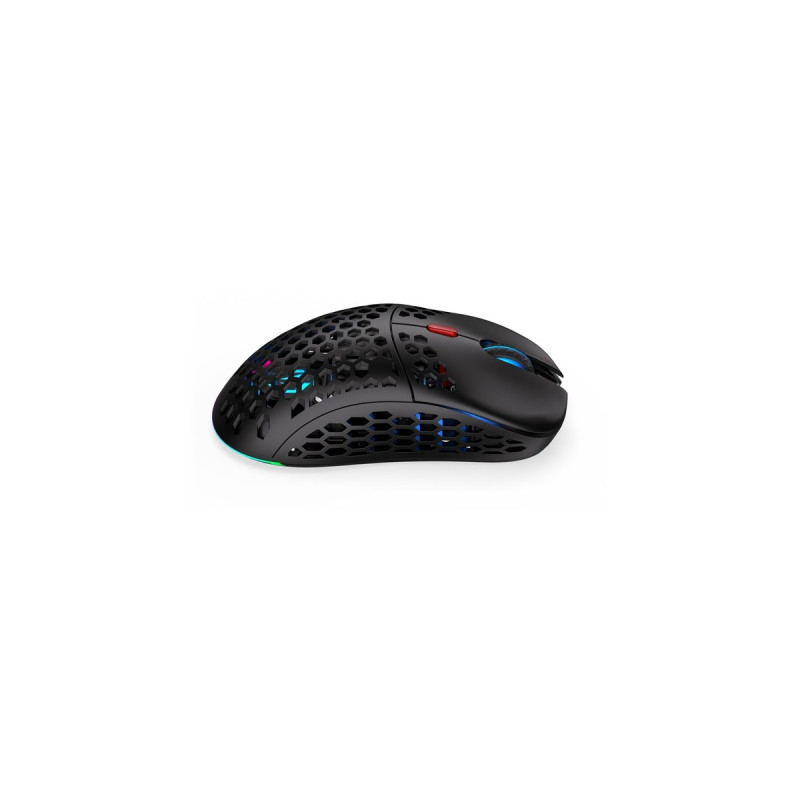ENDORFY LIX Plus Wireless, Gaming-Maus(schwarz)