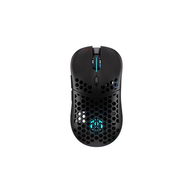 ENDORFY LIX Wireless, Gaming-Maus(schwarz)