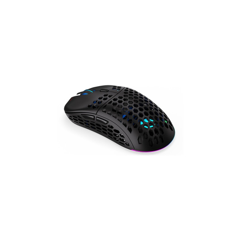 ENDORFY LIX Wireless, Gaming-Maus(schwarz)