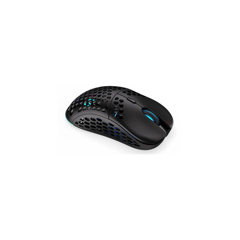 ENDORFY LIX Wireless, Gaming-Maus(schwarz)