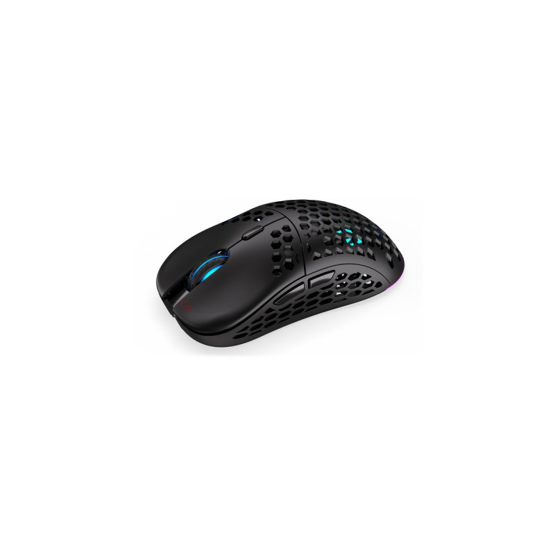 ENDORFY LIX Wireless, Gaming-Maus(schwarz)
