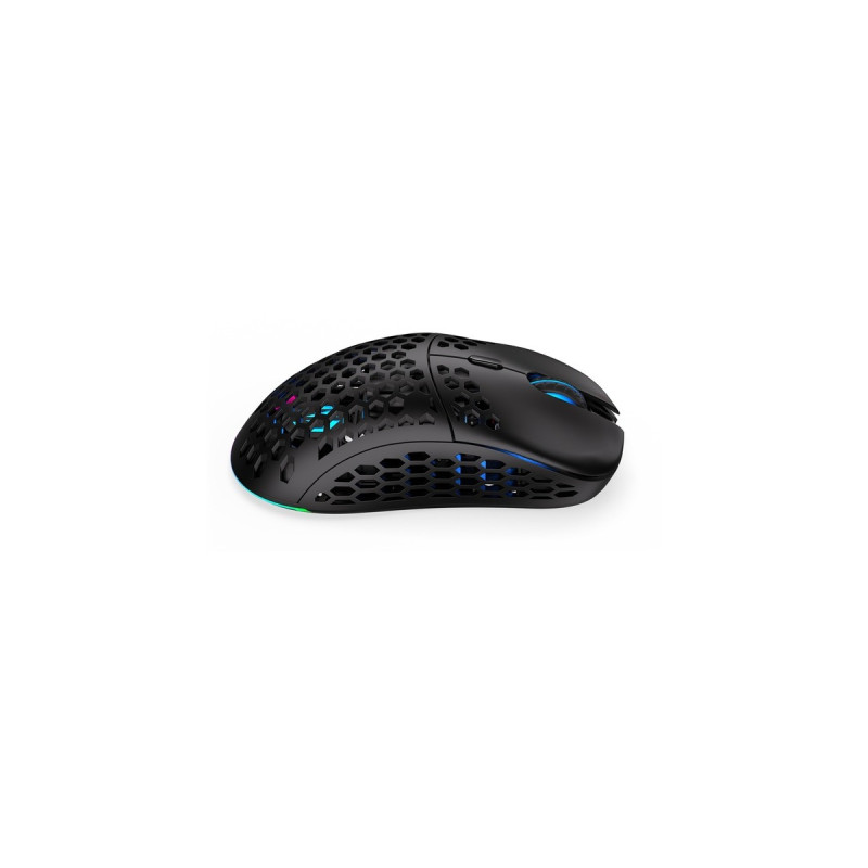 ENDORFY LIX Wireless, Gaming-Maus(schwarz)