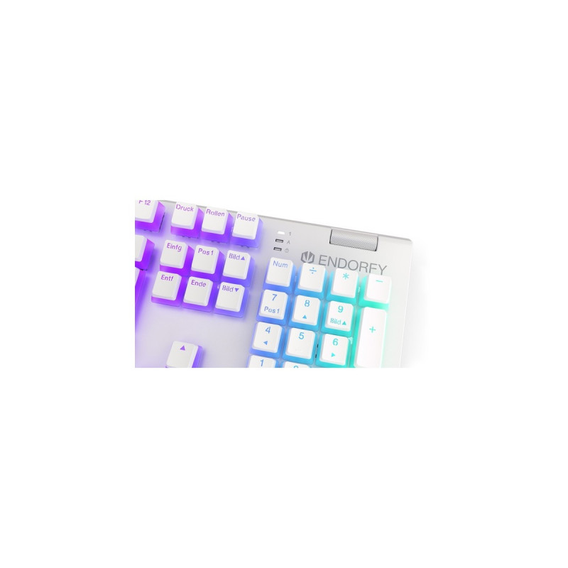ENDORFY Omnis Pudding Onyx White, Gaming-Tastatur(weiß, DE-Layout, Kailh RGB Brown)
