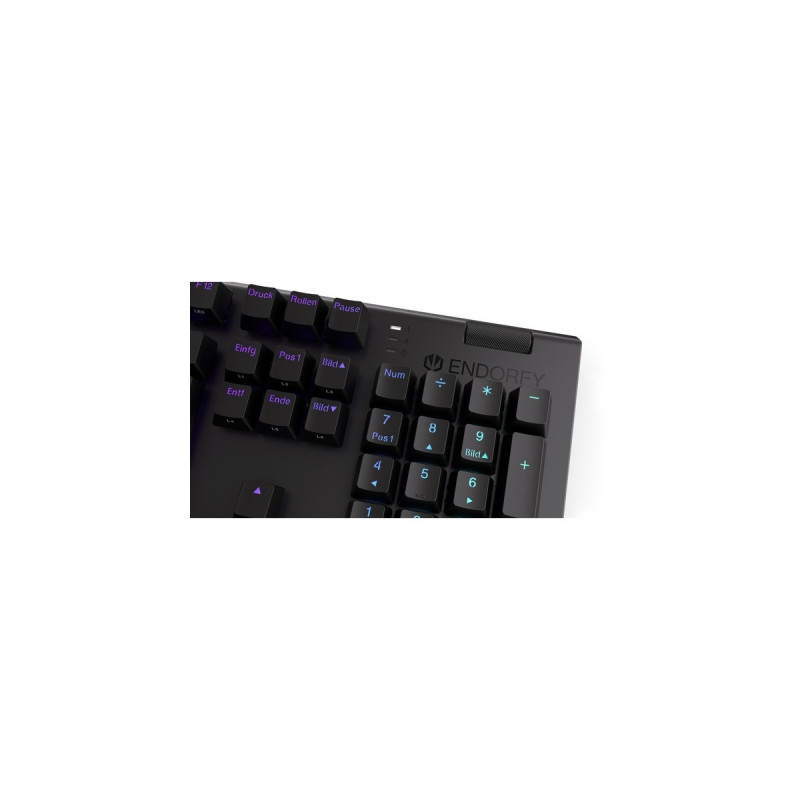 ENDORFY Omnis, Gaming-Tastatur(schwarz, DE-Layout, Kailh RGB Red)