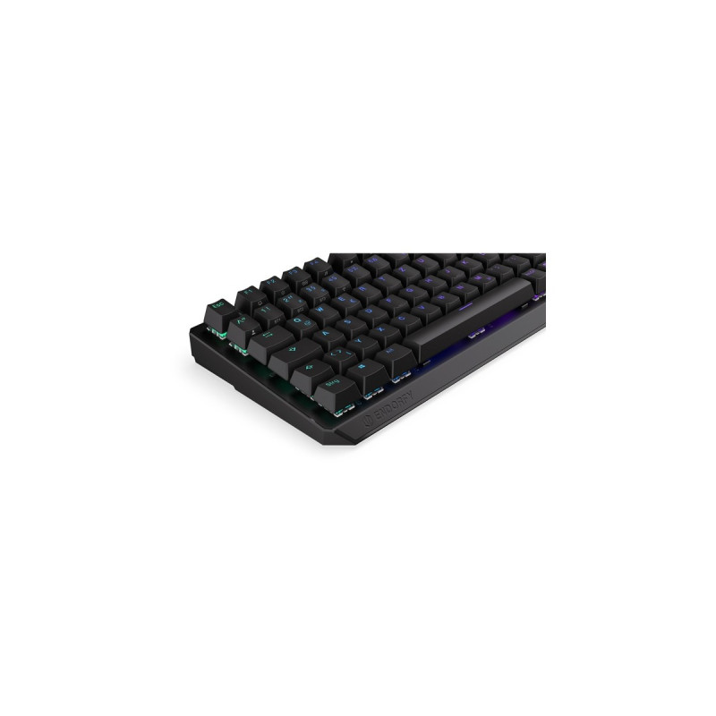 ENDORFY Thock 75% Wireless, Gaming-Tastatur(schwarz, DE-Layout, Kailh Box Red)