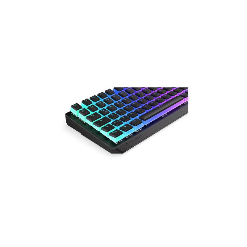 ENDORFY Thock 75% Wireless, Gaming-Tastatur(schwarz, DE-Layout, Kailh Box Black)