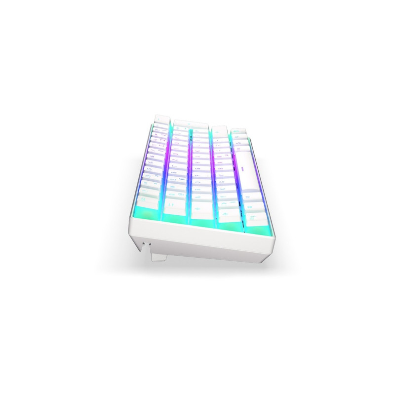 ENDORFY Thock Compact Wireless Pudding Onyx White, Gaming-Tastatur(weiß, DE-Layout, Kailh Box Red)