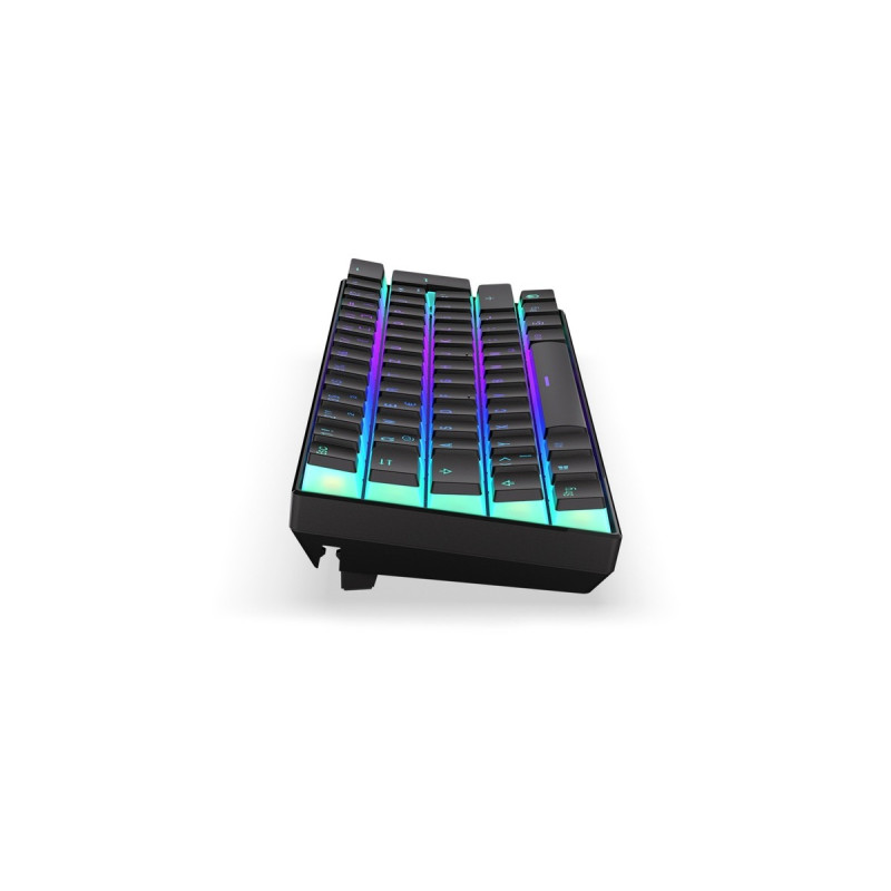 ENDORFY Thock Compact Wireless Pudding, Gaming-Tastatur(schwarz, DE-Layout, Kailh Box Black)