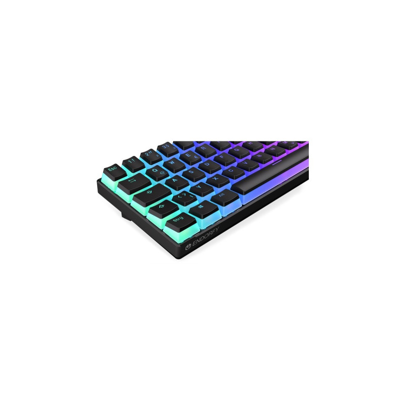 ENDORFY Thock Compact Wireless Pudding, Gaming-Tastatur(schwarz, DE-Layout, Kailh Box Black)