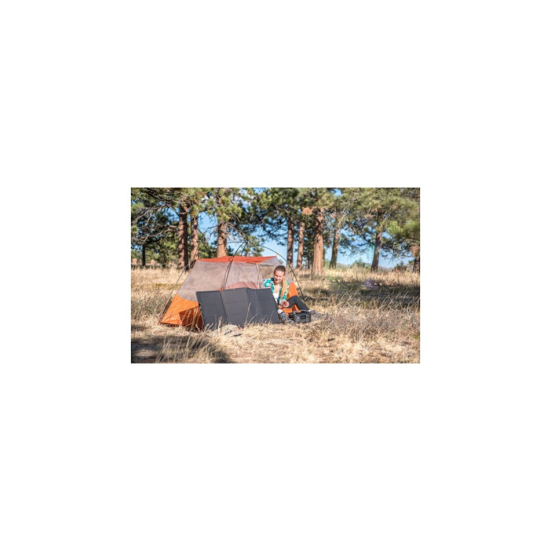 EcoFlow 110W Tragbares Solarpanel(schwarz)