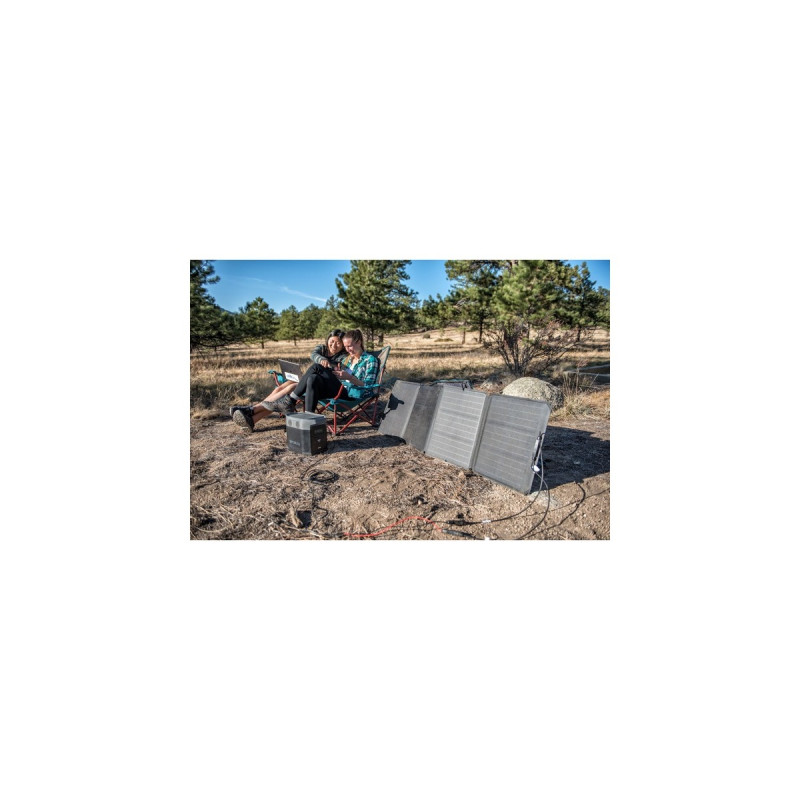 EcoFlow 110W Tragbares Solarpanel(schwarz)