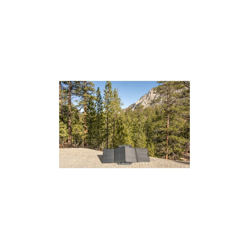 EcoFlow 110W Tragbares Solarpanel(schwarz)