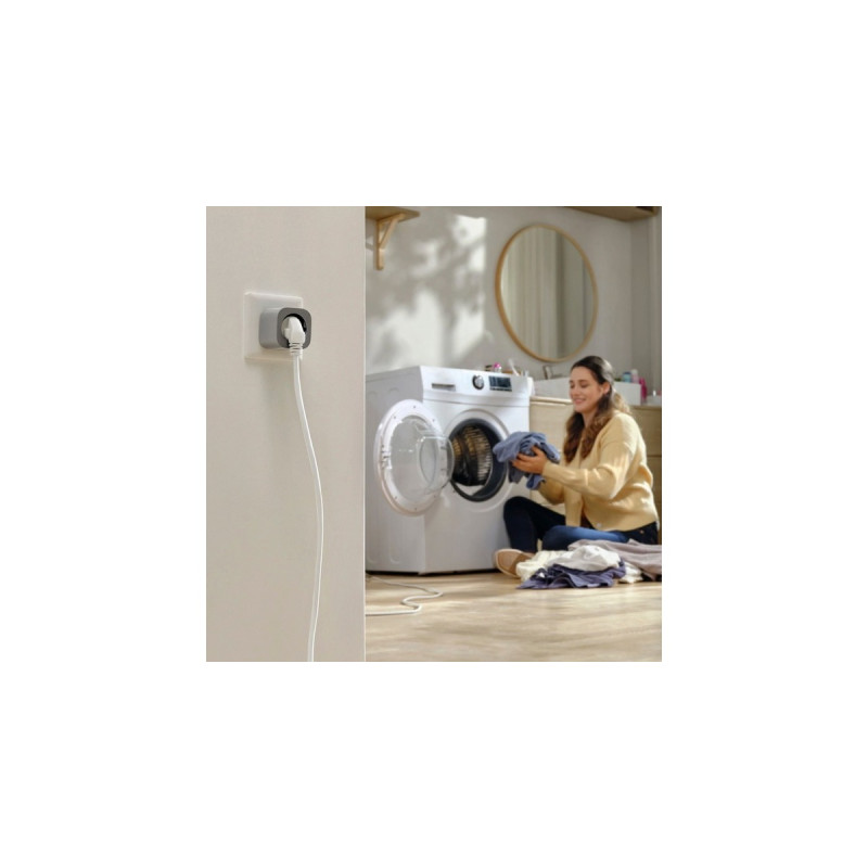 EcoFlow Smart Plug, Steckdose(grau)