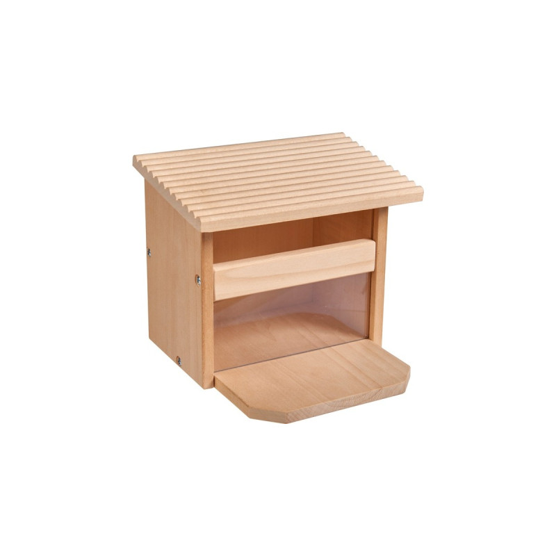 Eichhorn Futterhaus Eichhörnchen, Experimentierkasten