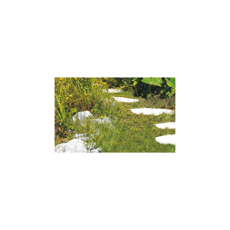 Einhell Akku-Gras-Strauchschere GC-CG 3,6 Li(rot/schwarz, Li-Ionen Akku 1,3Ah)